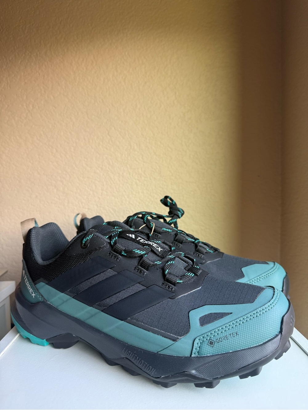 Adidas Terrex Skychaser Gore-Tex Black Blue Jq2209  Men’s Shoe Size 8